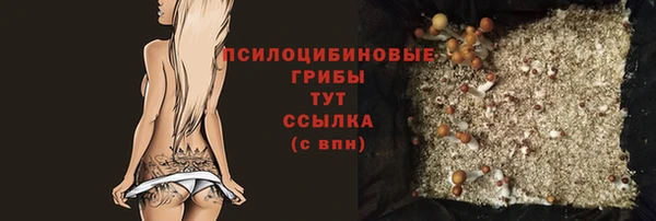 гидра Домодедово
